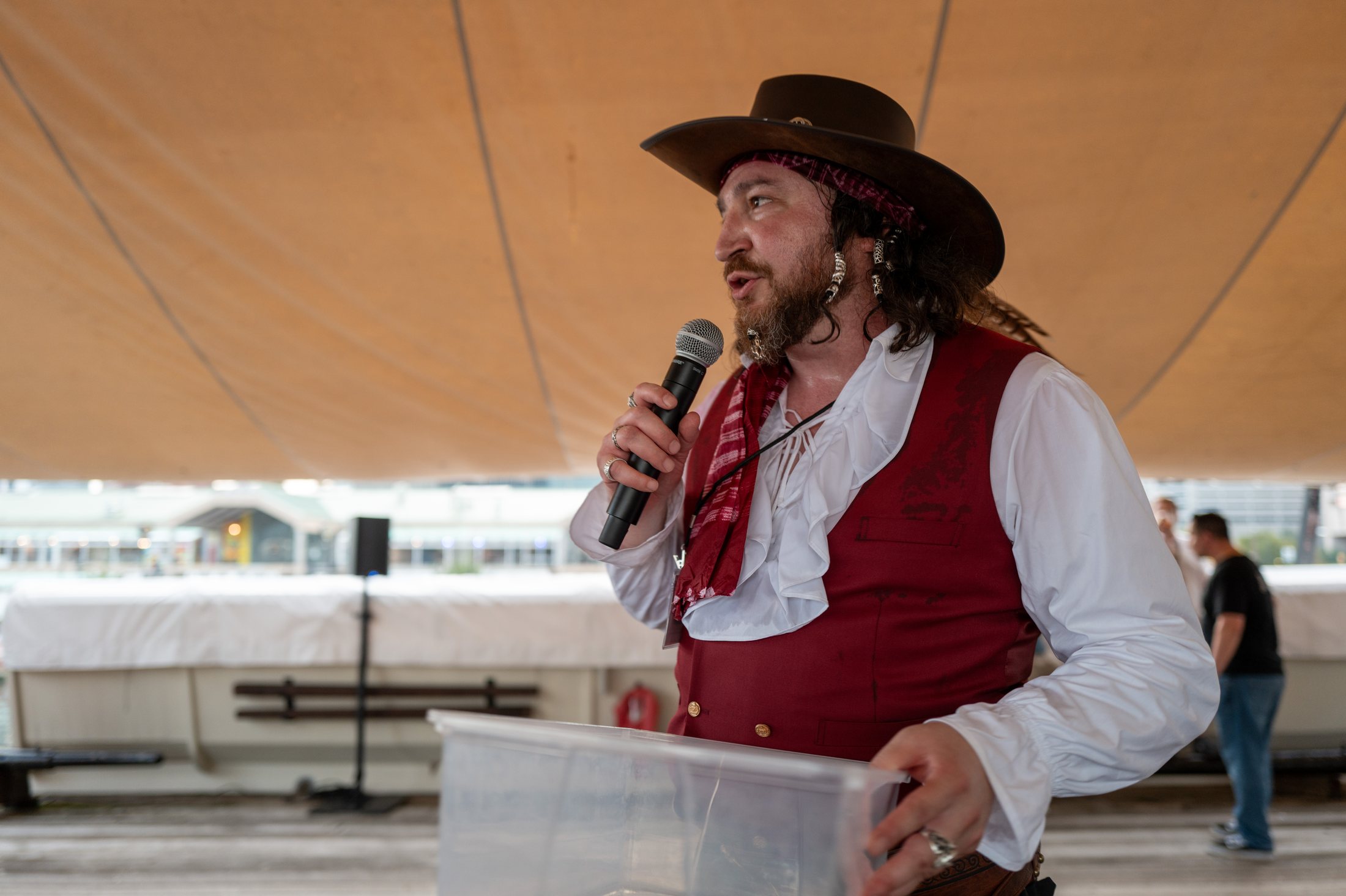 The cannon and the auction